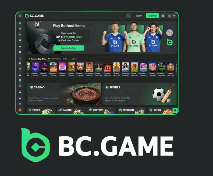Play at BC.Game Argentina - Experience the Best Online Gaming
